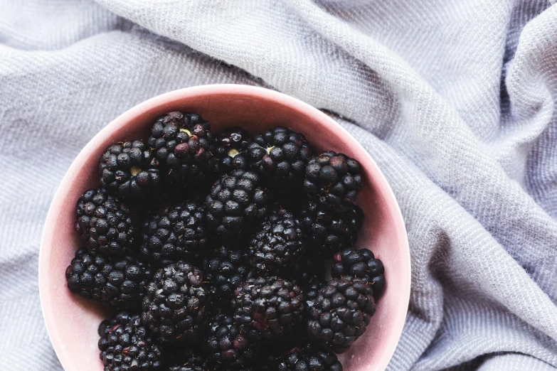 bowl full of fresh blackberries on top of a towel