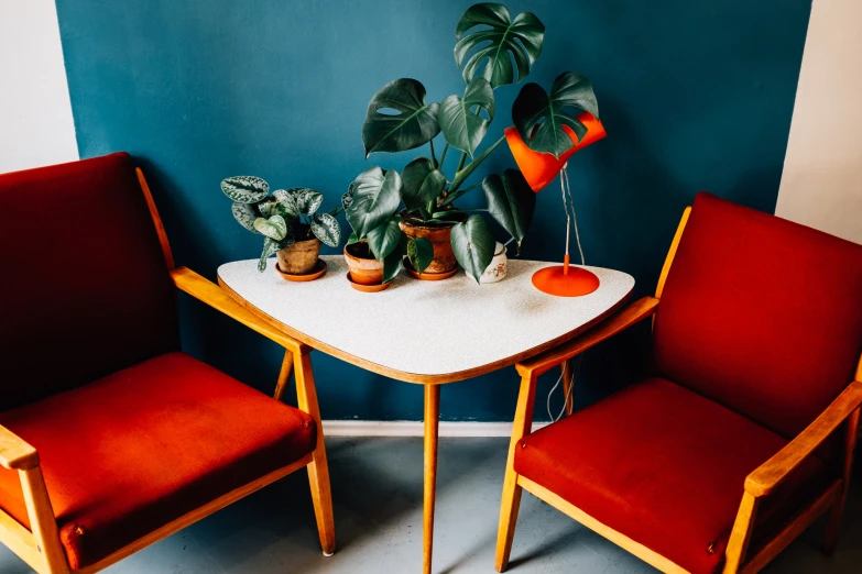 there are several plants that are sitting on this table