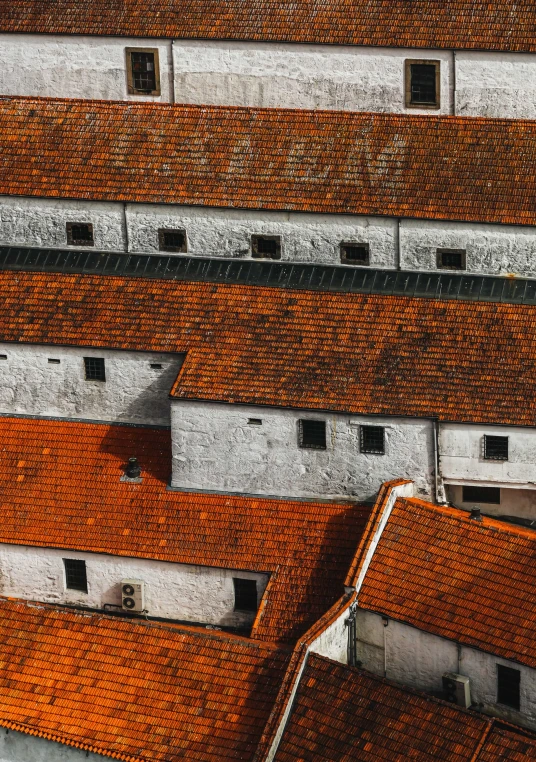 an aerial view of tiled roofs in a village