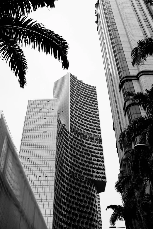 a black and white picture of some tall buildings