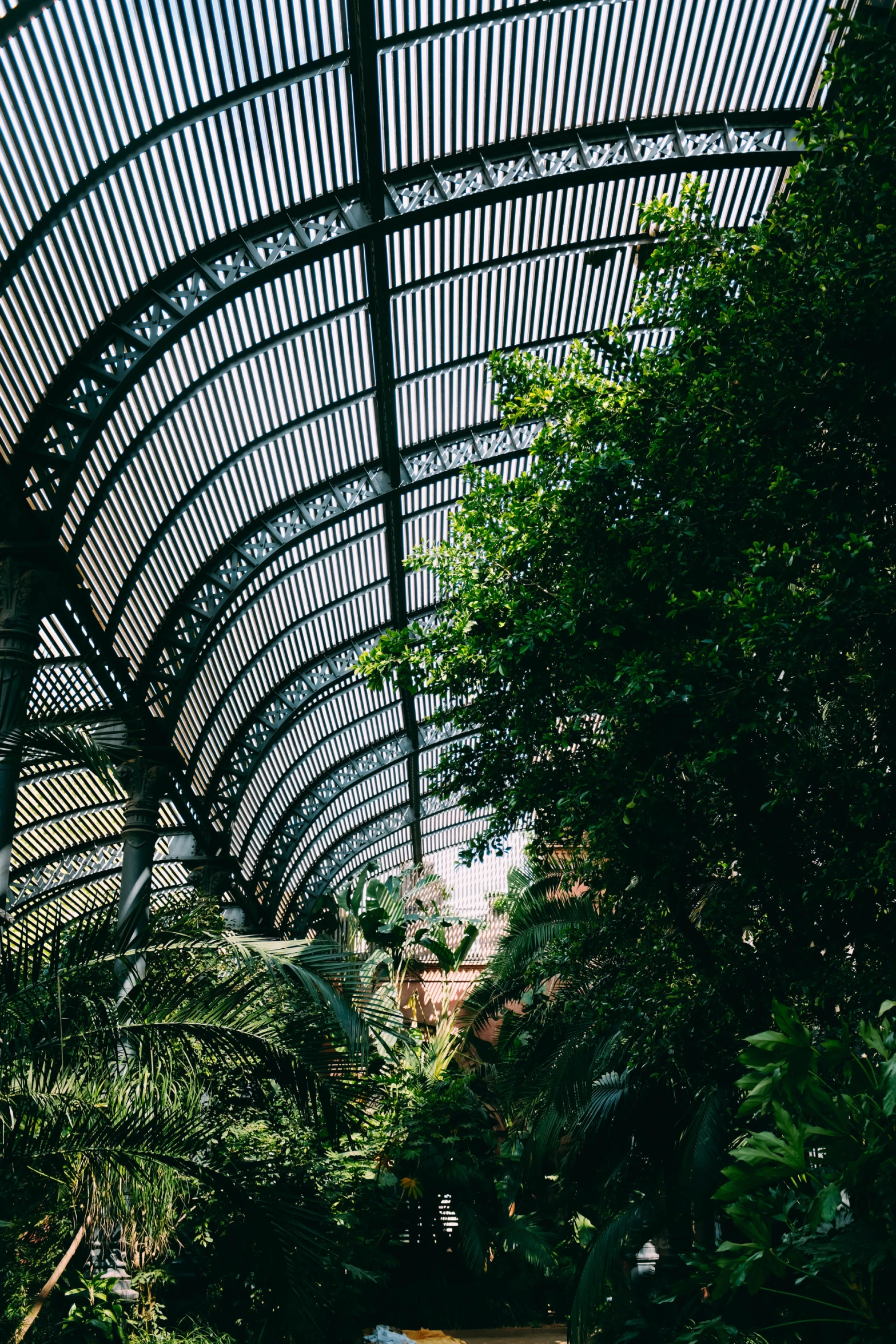 a walkway with plants and trees under a domed roof