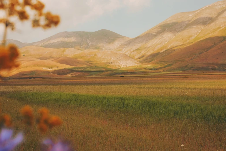 an open area with a green grass field and mountains