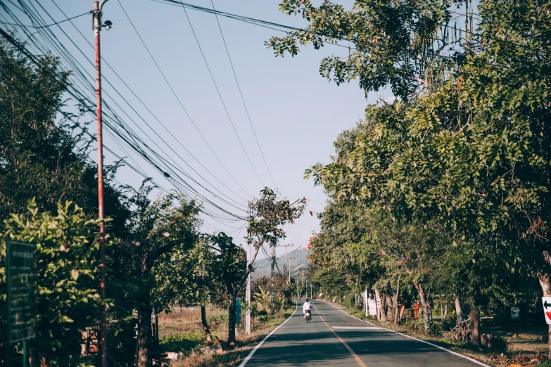 an empty street next to trees and power lines