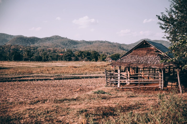 there is a barn in the middle of the land