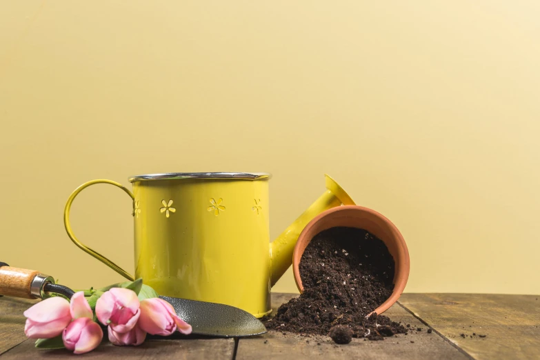 a plant sitting next to a coffee pot filled with dirt