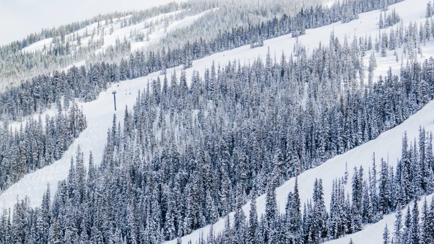 a hill with a ski lift at the bottom