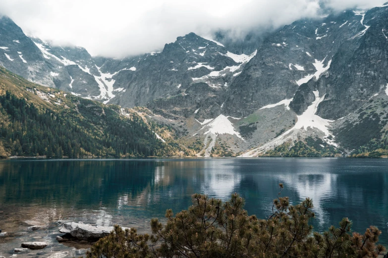 snow covered mountains near the blue water with pine trees in foreground