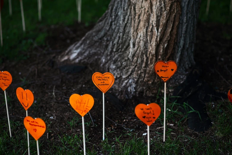 a line of signs for hearts with names are in the grass