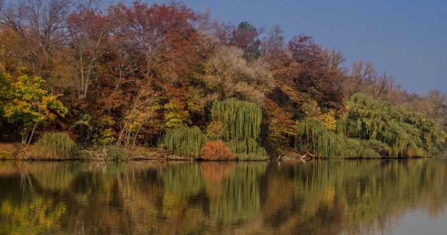 a lake in the fall with a treeline reflecting its leaves