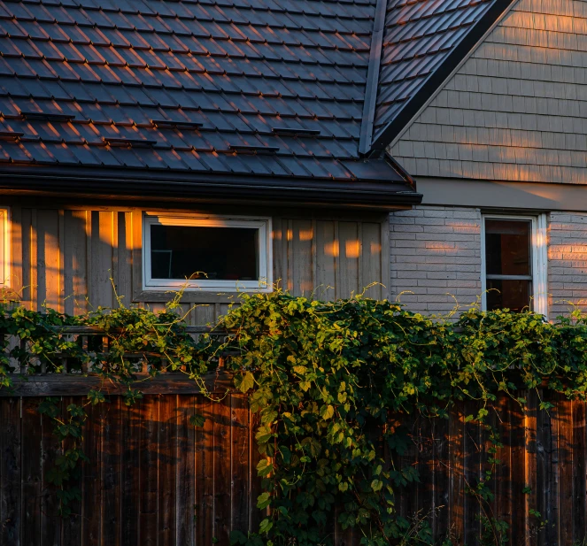 a brick building with two windows and ivys on the fence