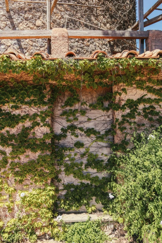 a brick wall covered in vines and ivy