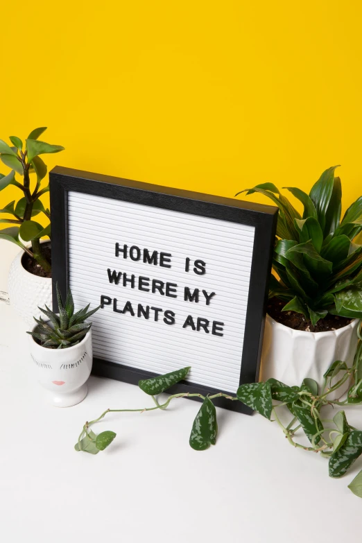 a po frame with plants on the table next to it