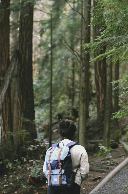 a person walking on a path near trees and woods