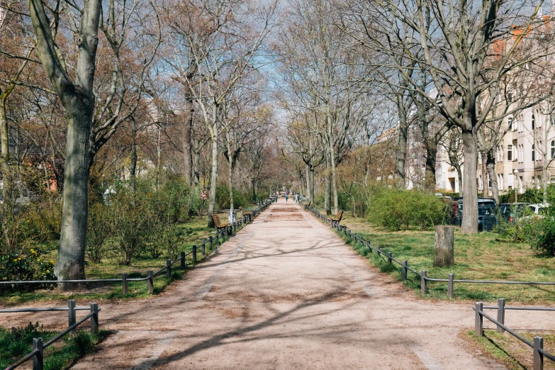 a dirt path that is lined with trees in front of a building