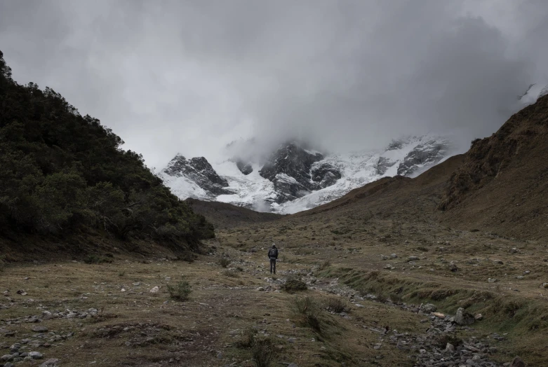 a person walking through a field towards some snow covered mountains