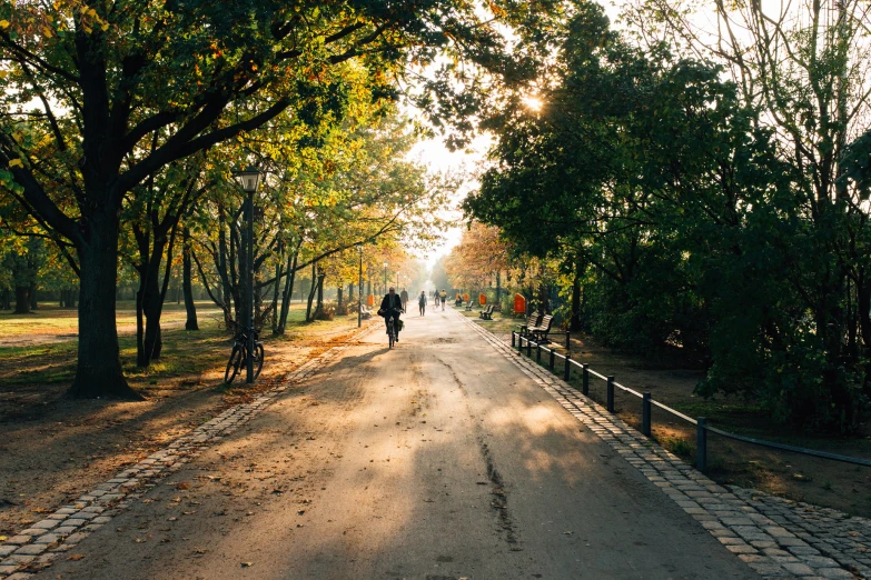 people are walking down the path next to some trees