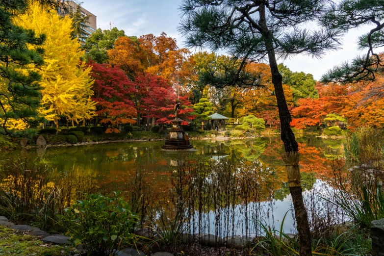 a lake with flowers in it surrounded by forest