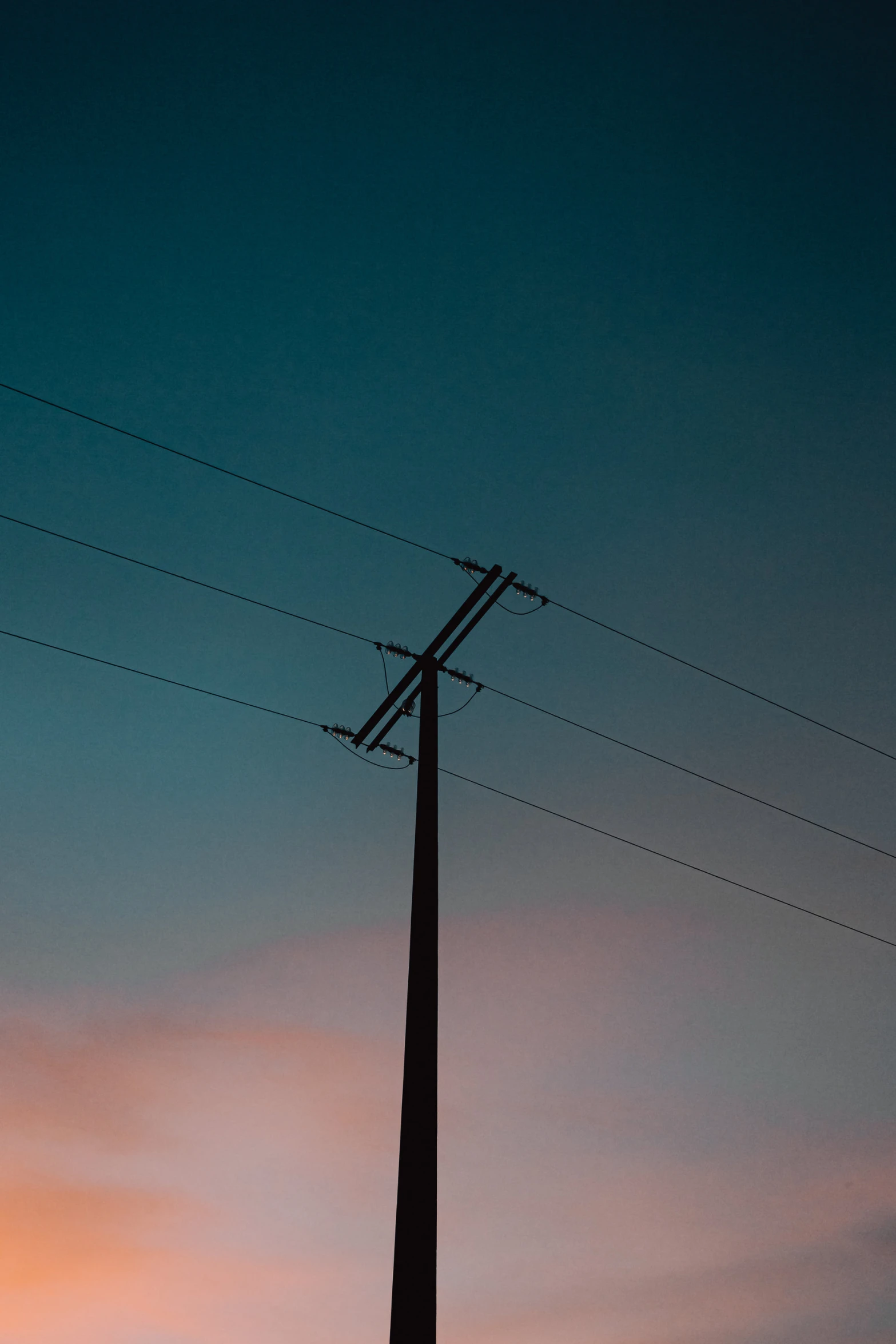 a pole with two birds sitting on top of it