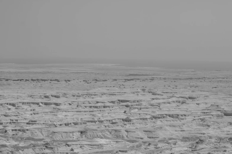 an elephant walking in the middle of a desert