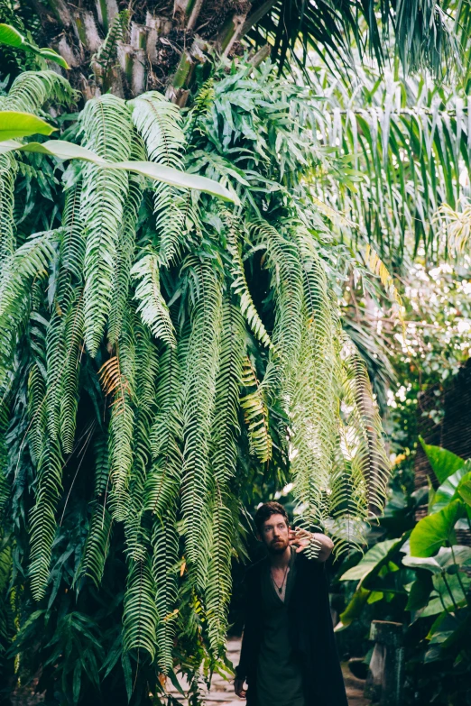 man in grey shirt walking up the path through jungle