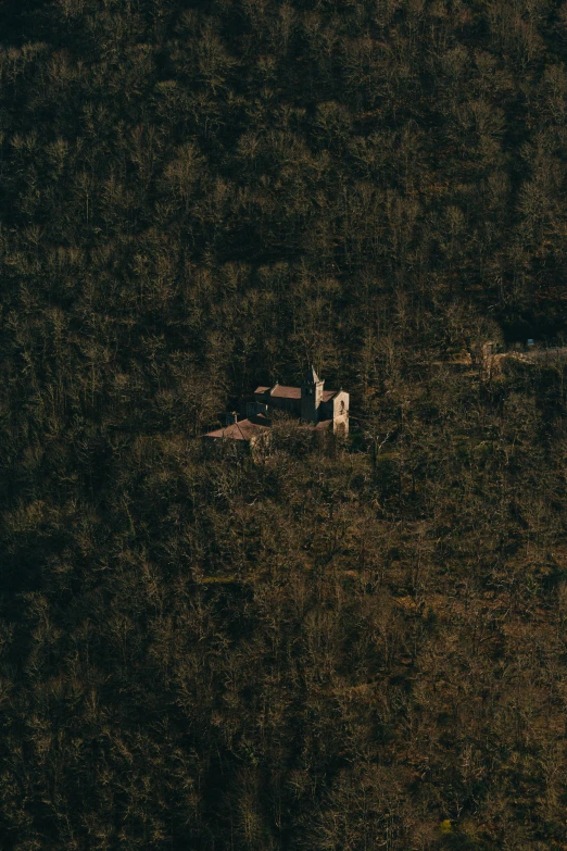 an image of some buildings in the middle of some brush