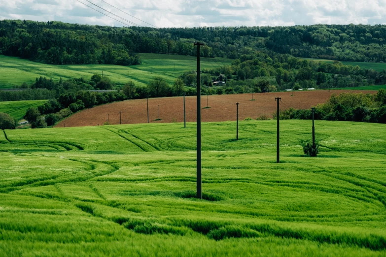 a field that has a green grass area and trees