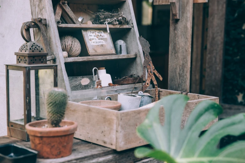an old wooden shelf next to plants and a pot