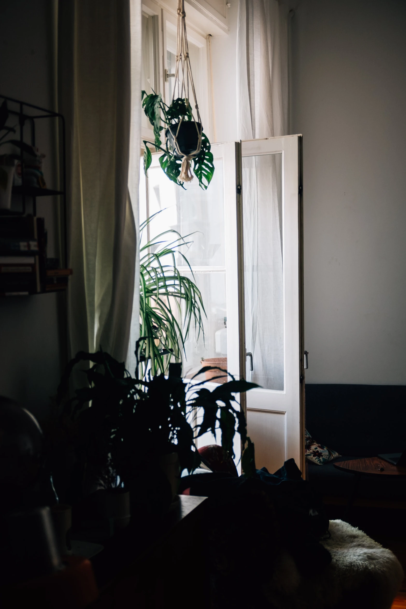 a living room with plants on the windowsill