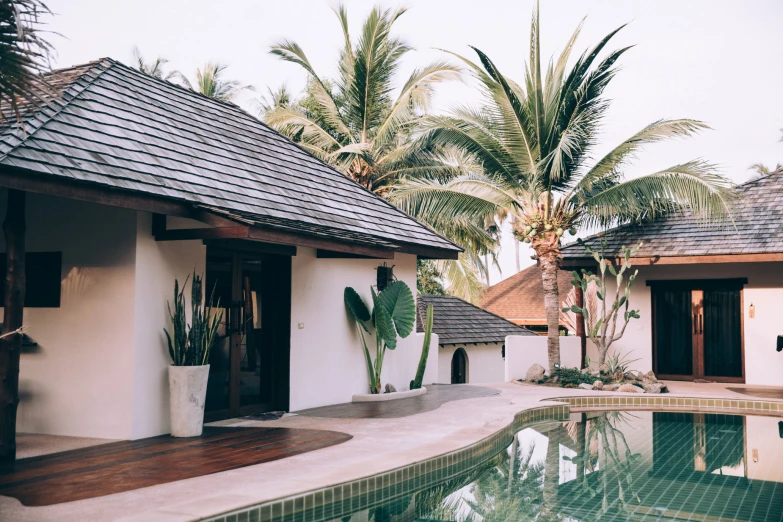 a tropical resort house has large plants and trees near the swimming pool