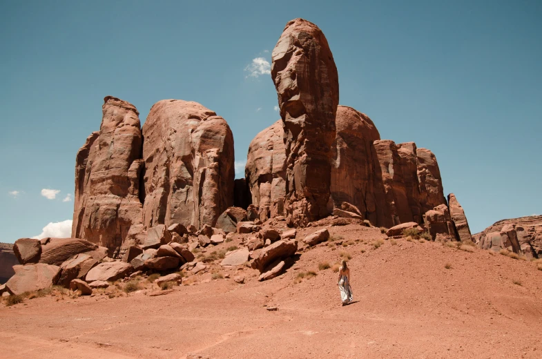 an area with rocks and bushes is seen