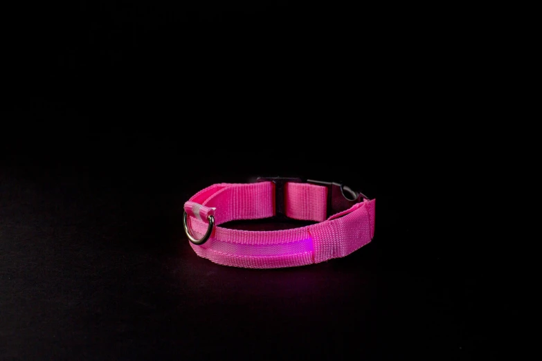 a pink glow in the dark collar for a dog