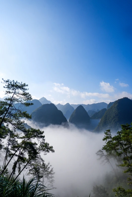 view of fog rising in the mountains, and a forest