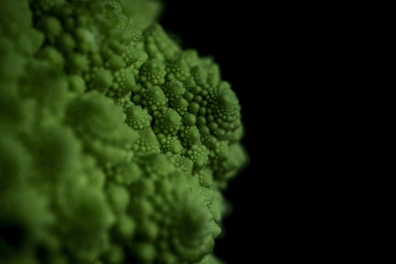 a close up view of a piece of broccoli