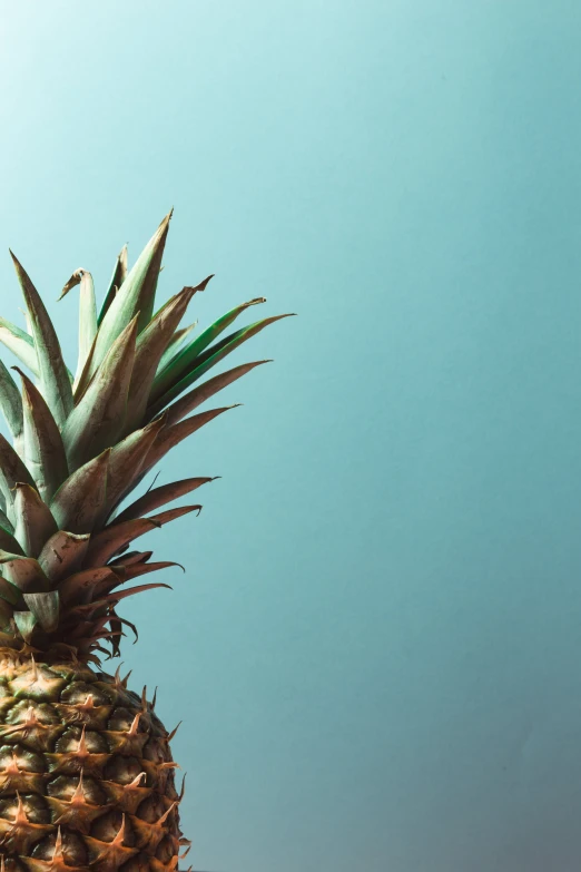 a pineapple is standing upright against the blue background