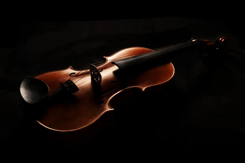 a violin with a black and brown bow and bell