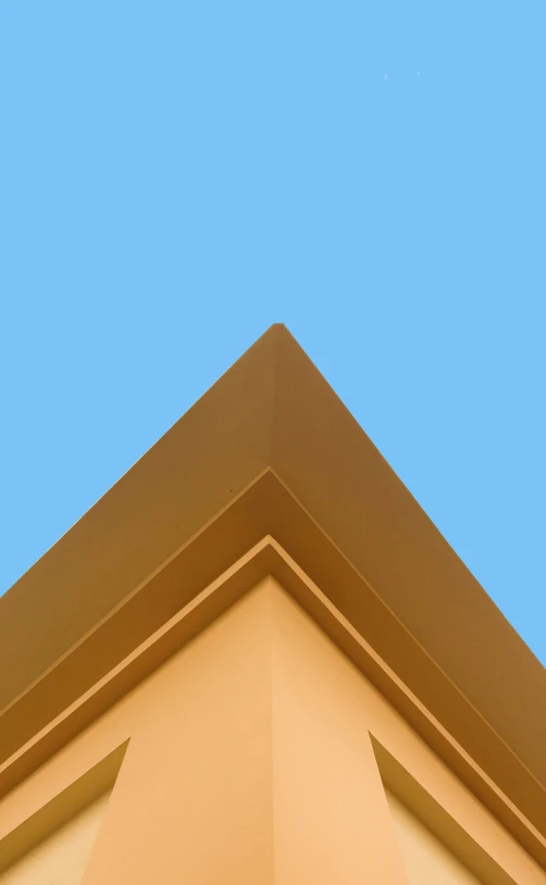 a bird is sitting on the roof of a building