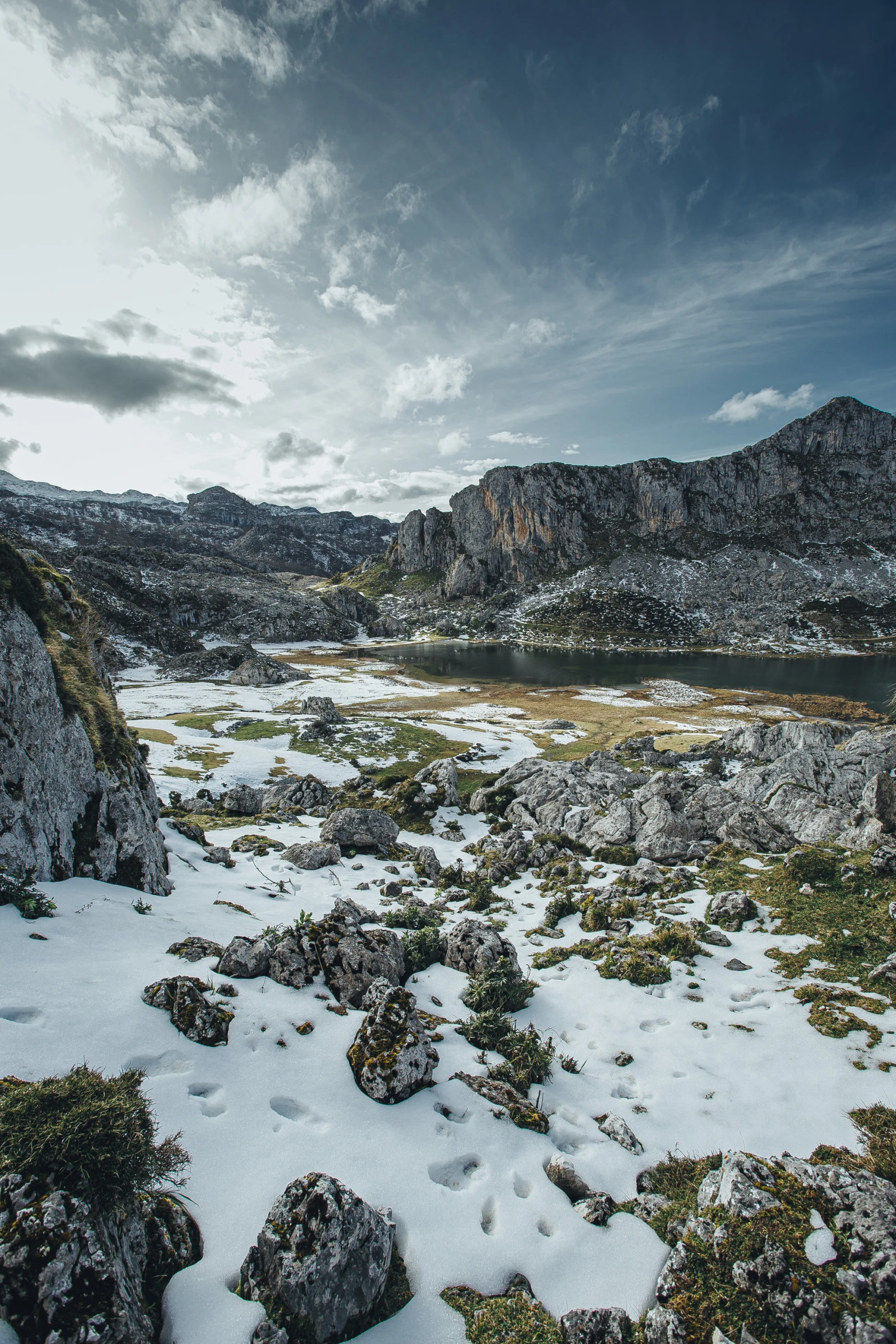 some snow and rocks and plants on the ground