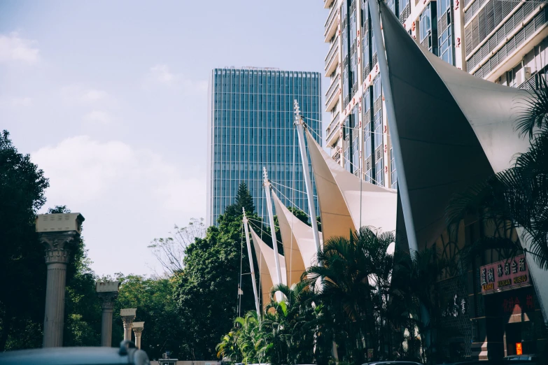 the tall buildings are in the city with palm trees