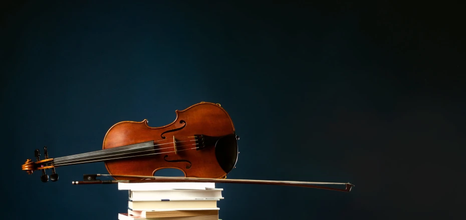 a violin is sitting on top of books