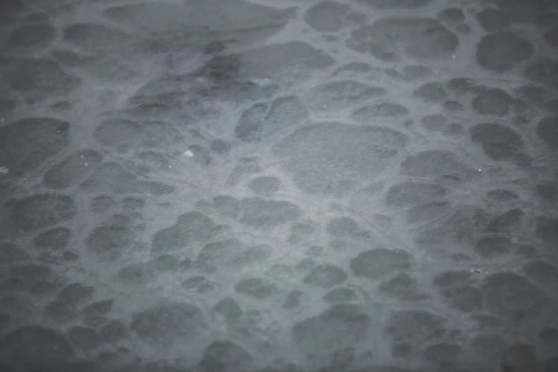 gray and white image of a sea urinatings of ice