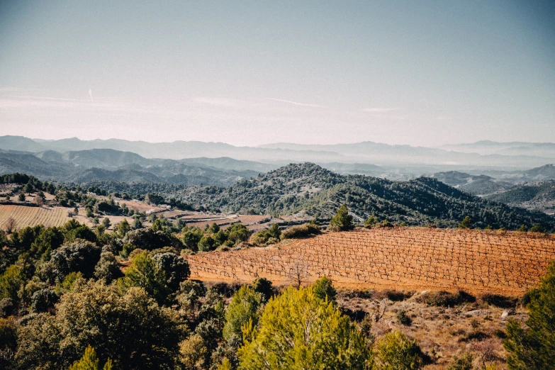 trees and mountains near a field in the foreground