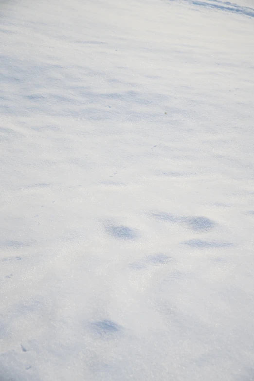 a snowy landscape that is covered in lots of white stuff