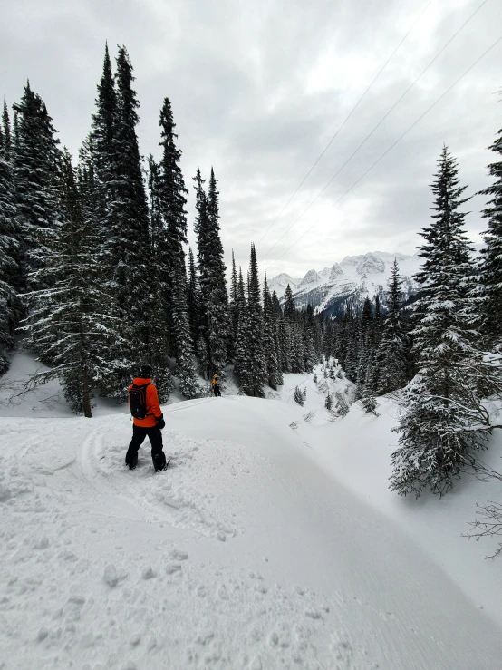 a person in red coat and black pants hiking through snowy forest