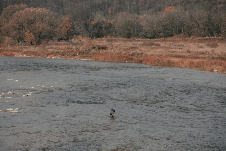 a person wading in a large open field with trees