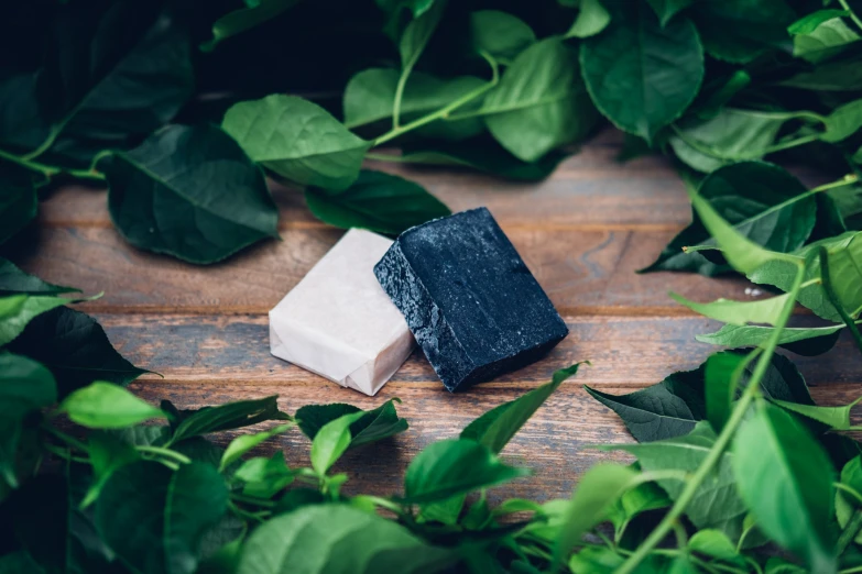 a couple of soaps that are on some leaves