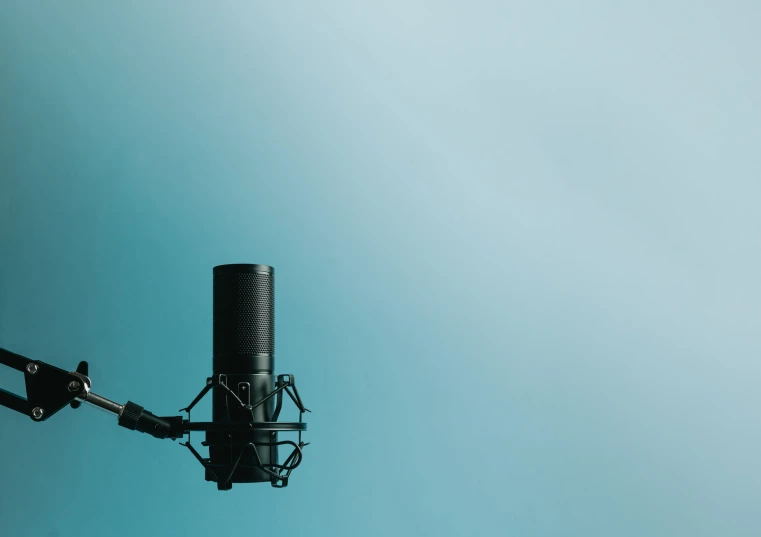 a large black microphone attached to a metal pole