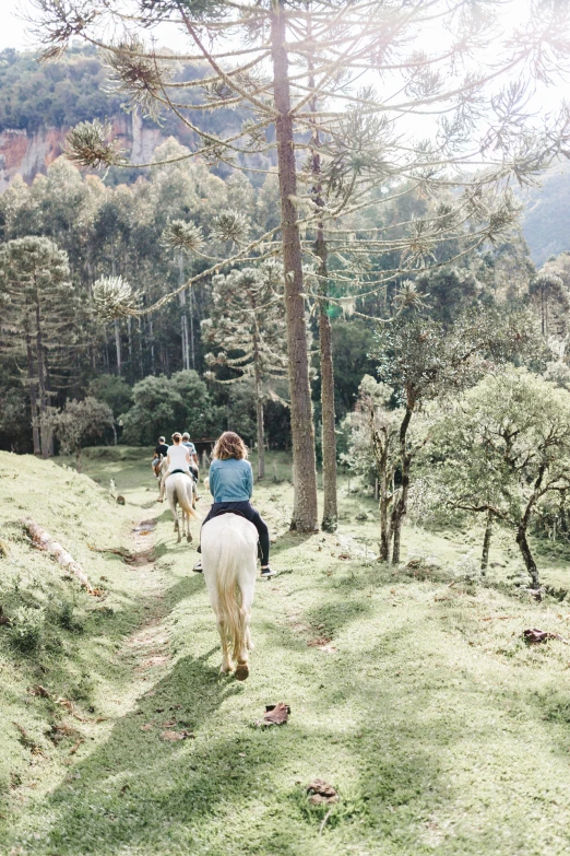 two people riding horses down a grassy path