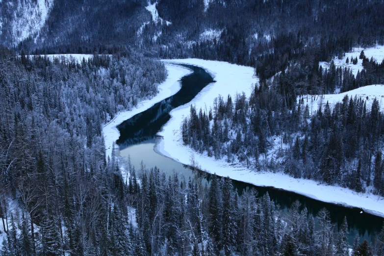 a small river is surrounded by snowy trees