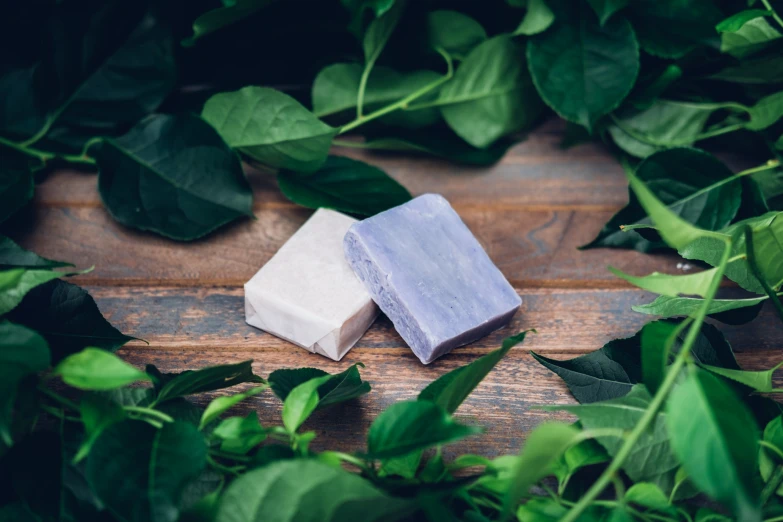 two soaps sitting in front of some leaves