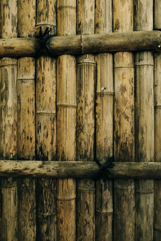 a bamboo fence is made up and wood planks